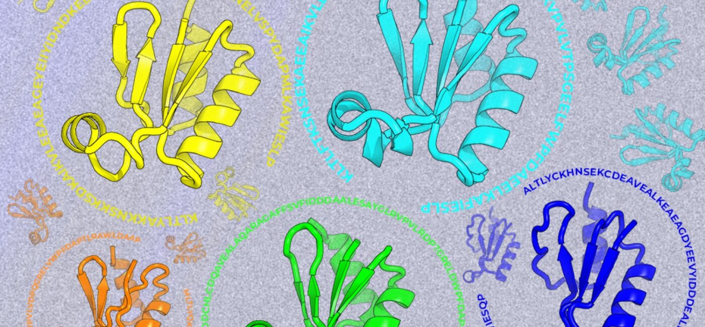 Looking beyond natural sequences | MIT News