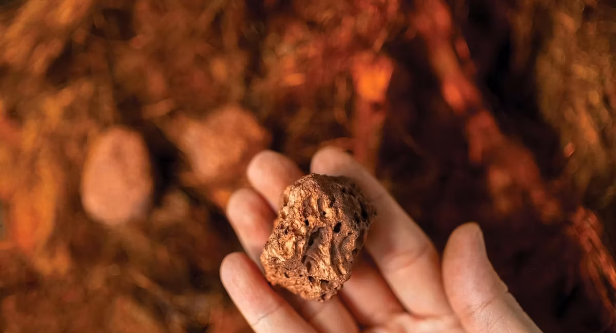 Sumitomo and G Mining Group Back Tintina’s Dos Amigos Copper Project
