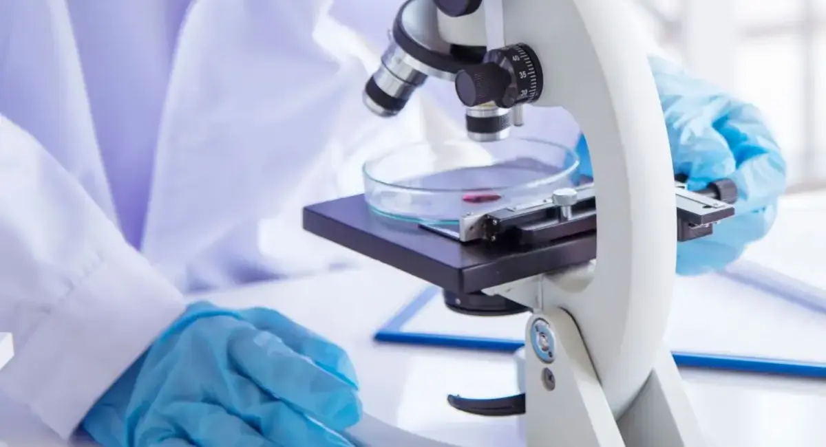 Oncology Stocks: 8 Biggest NASDAQ Companies in 2026